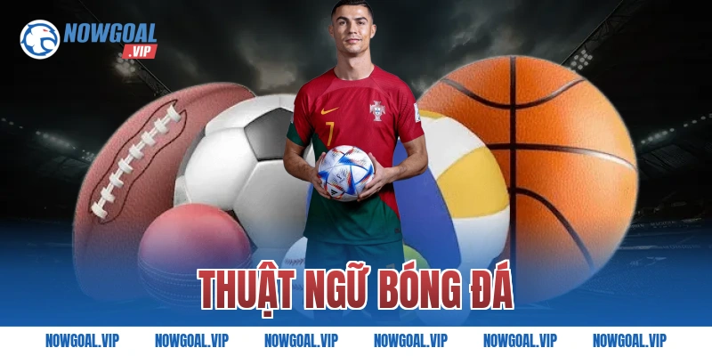 Thuật Ngữ Bóng Đá Từ A-Z Cho Người Mới